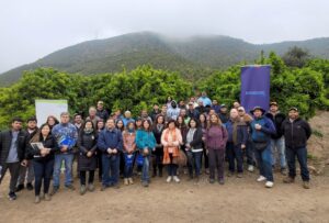 Cerca de 800 pymes agrícolas fueron apoyadas por la Red Fortalece Pyme Aconcagua Quillota en procesos de digitalización