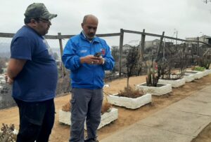 Corfo Valparaíso se despliega en zonas afectadas para levantar ficha de emergencia de empresas y cooperativas