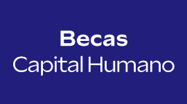 Conoce Becas Capital Humano de Corfo, programa que ofrece cursos de especialización para fortalecer las capacidades laborales en sectores estratégicos.