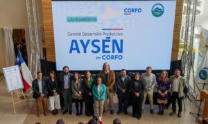 Aysén Avanza hacia la Descentralización con Lanzamiento del Comité de Desarrollo Productivo