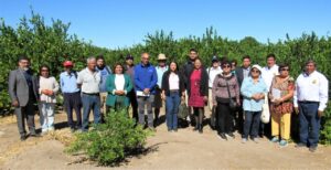 29 agricultores del Tamarugal participarán en programa tecnológico de Corfo