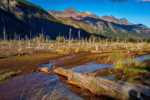 RiegoAysen: Plataforma clave para la gestión de riego ante el cambio climático en Aysén