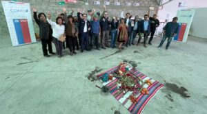 Arica y Parinacota: Challaron maquinaria para mejorar la selección del tomate Cherry