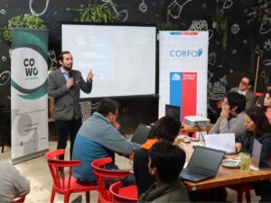 10 startups del participarán en el primer showcase de Cowo Incubadora Corfo Los Lagos