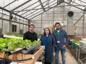 Con apoyo de Corfo: Profesionales y técnicos del sector hortícola se capacitan en el desarrollo de proyectos en invernaderos y cultivos hidropónicos