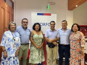 Arica y Parinacota: Comité Resolutivo DFL15 aprobó listado de proyectos elegibles para bonificación del 20%