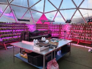 INACAP Coyhaique impulsa producción agrícola sostenible en Aysén con hidroponía y tecnología avanzada