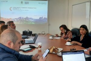 Subcomité de Fomento Productivo aprueba ejecución de 15 programas de Fomento a la Calidad