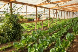 Emprender con impacto: UNAB y Corfo O’Higgins lanzan programa clave para la economía regional