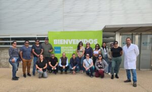 Arica y Parinacota: Agricultores regresaron de España cargados de aprendizajes para producir hortalizas más limpias