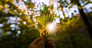 Corfo adjudica seis Innova Región para Ñuble