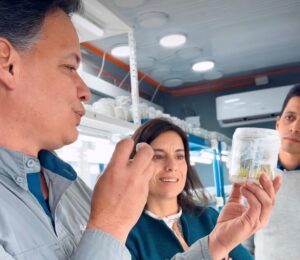 Corfo busca potenciar el desarrollo del ecosistema de innovación en el Maule