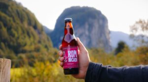 Kombuchén: La bebida saludable y sostenible de la Patagonia respaldada por Corfo Aysén