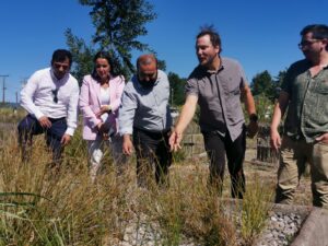Bien Público implementará primer humedal depurador para el mejoramiento de riles en el sector productivo