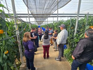 Corfo seleccionó 11 proyectos para fortalecer la innovación en pymes a través de la absorción tecnológica