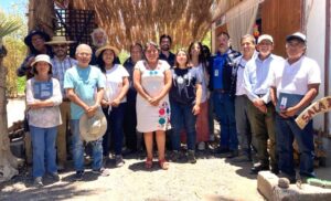 Aumentan productividad de cítricos a través nueva tecnología hídrica en Pica