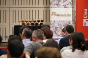 Maule: Con éxito se realizó taller apícola que vincula al sector con el rol activo que realizan las mujeres en el rubro