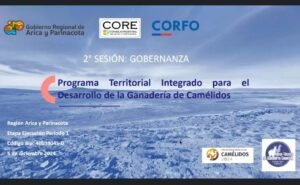Arica y Parinacota: Gobernador electo participó en gobernanza público-privada de ganadería camélida