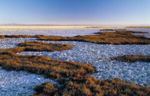Corfo abre convocatoria para el diseño del Instituto Tecnológico y de Investigación Público de litio y salares