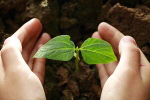 Comité de Desarrollo Productivo de Corfo abre postulaciones a concurso Semilla Inicia