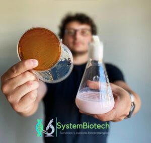 Startup de Osorno desarrolla revolucionario yoghurt en base a Psicobióticos para mejorar la Salud Mental