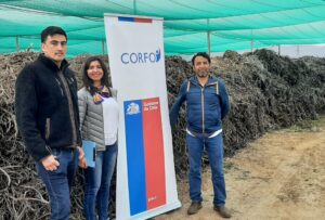 Cooperativa Weltun Mapu implementa planta de reciclaje de residuos de invernaderos