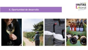 Subcomité de Fomento Productivo del CDPR Valparaíso aprueba la ejecución de dos programas Corfo