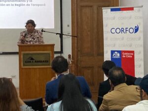 Lanzan programa para promover empresas sustentables en Tarapacá