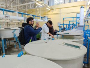 Puerto Montt albergará el Summit Acuícola 2024 organizado por Corfo