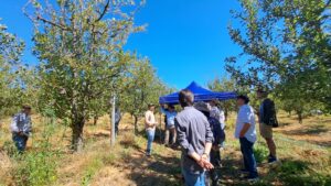 Las claves del PTI AgroTerritorio para los agricultores de Colchagua ante los desafíos del territorio