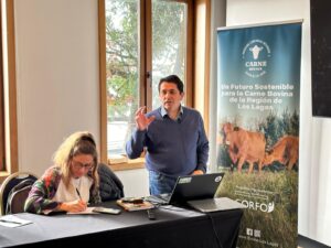 Reunión en Puerto Varas reúne a actores claves para fortalecer la industria bovina regional