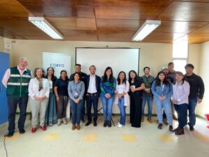 Arica y Parinacota: Inician el fortalecimiento de la Gobernanza de programa público-privado de hortalizas