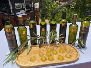 Corfo y Gobierno Regional de Atacama presentan programa para comercializar la Denominación de Origen del aceite de oliva del Valle del Huasco