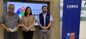 Convocan a empresas y emprendedores de Ñuble a postular líneas de financiamiento que impulsen el desarrollo regional