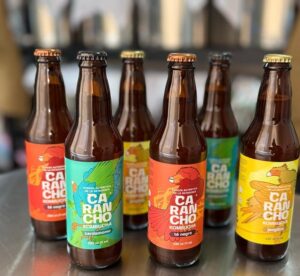 Carancho Kombucha: Un emprendimiento magallánico que fermenta éxito con el apoyo de Semilla Expande